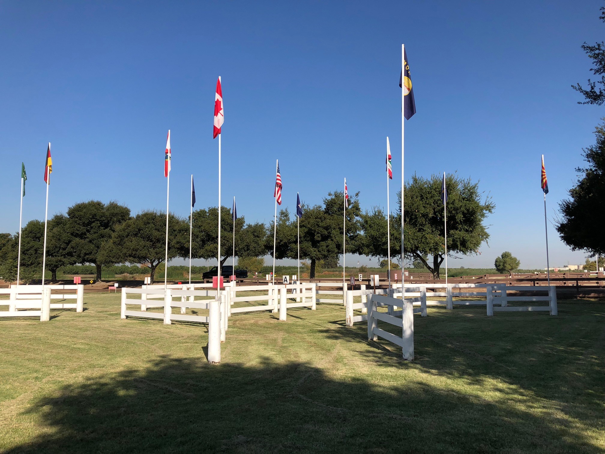 Large multi-flag installation