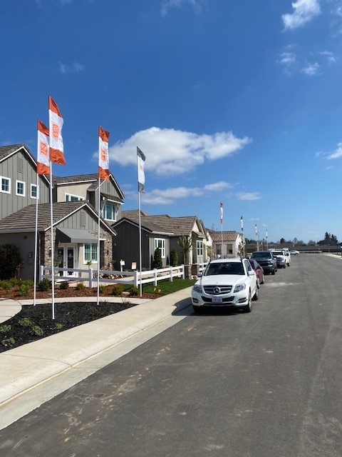 Residential development with multiple branded flags
