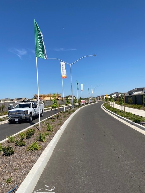 Residential community with branded flags